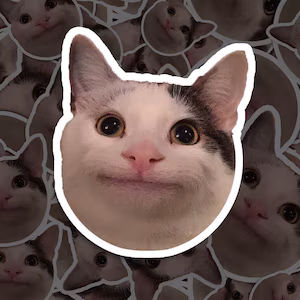 Polite cat meme